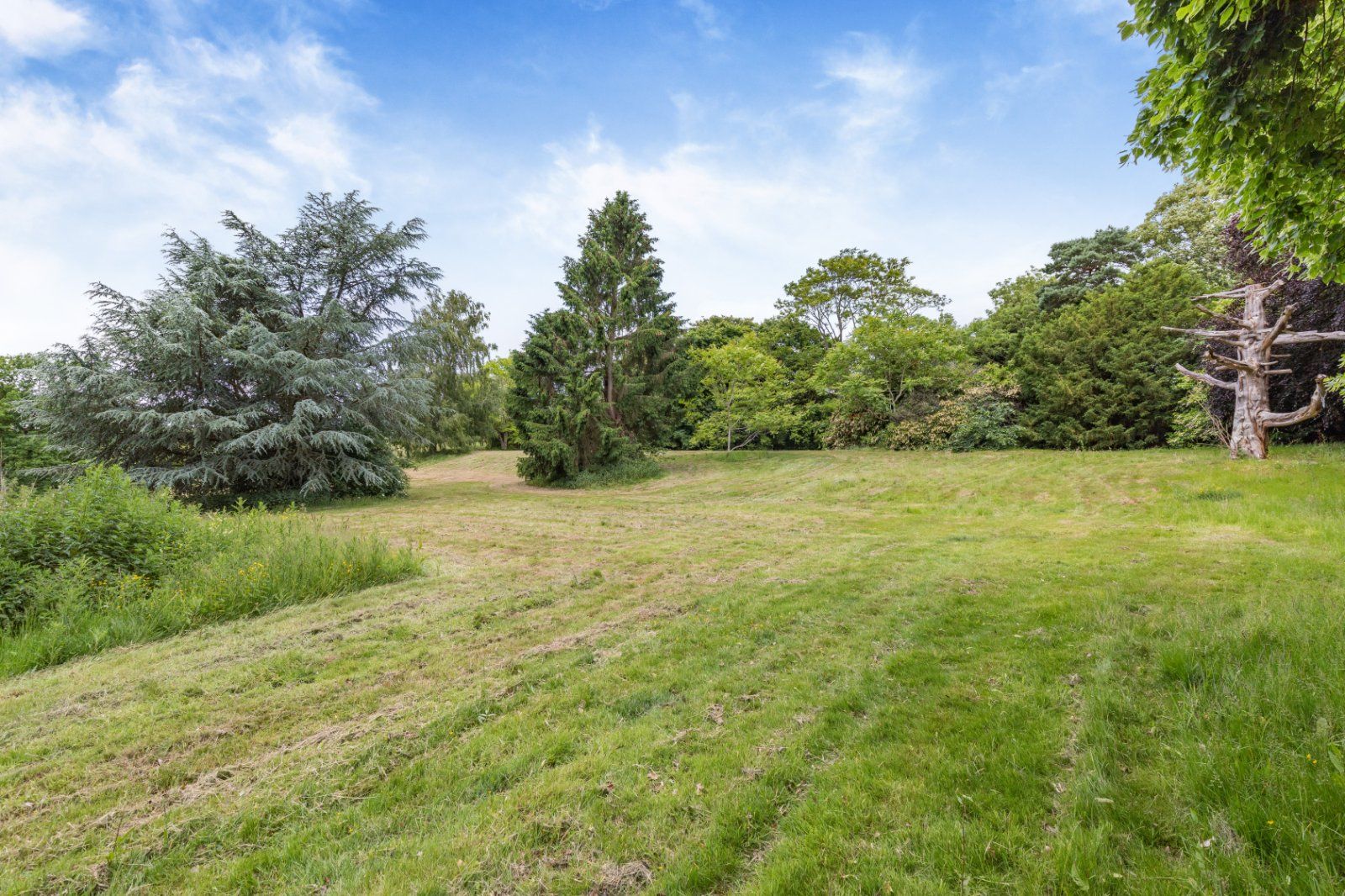 Grounds