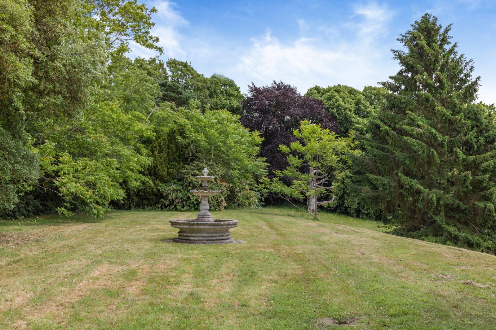 Grounds
