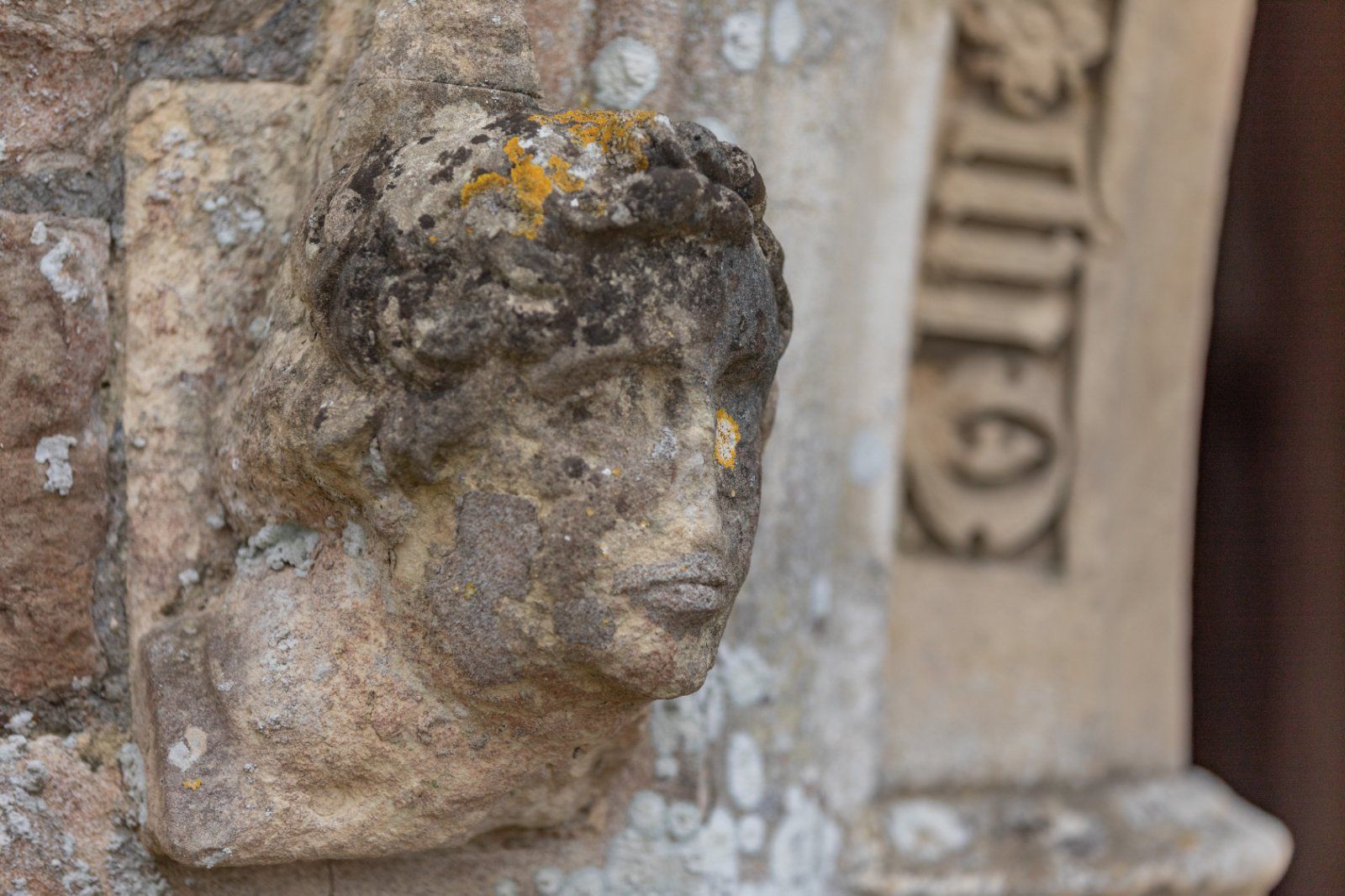 Detail