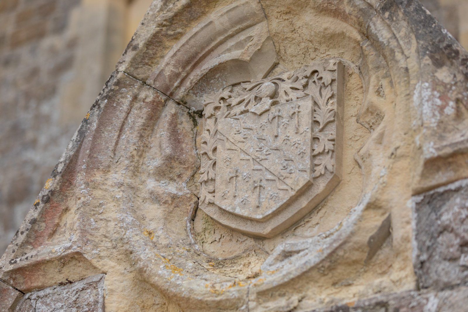 Detail