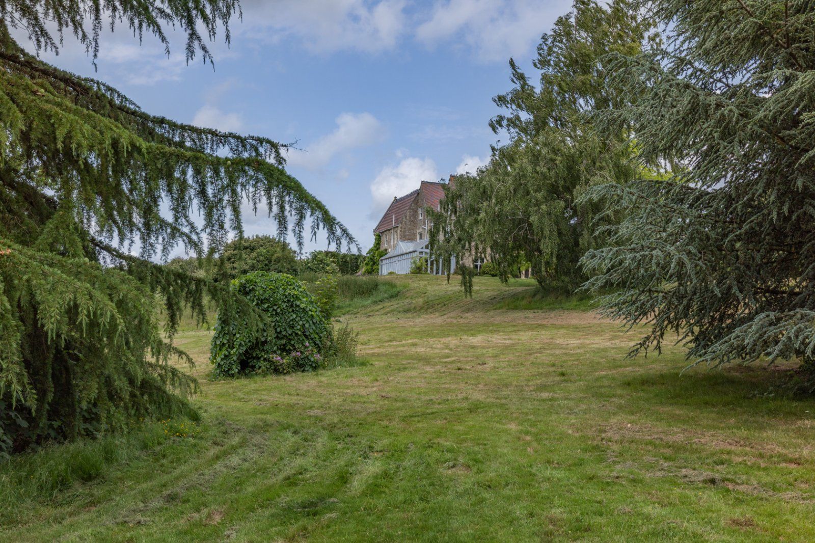 Grounds
