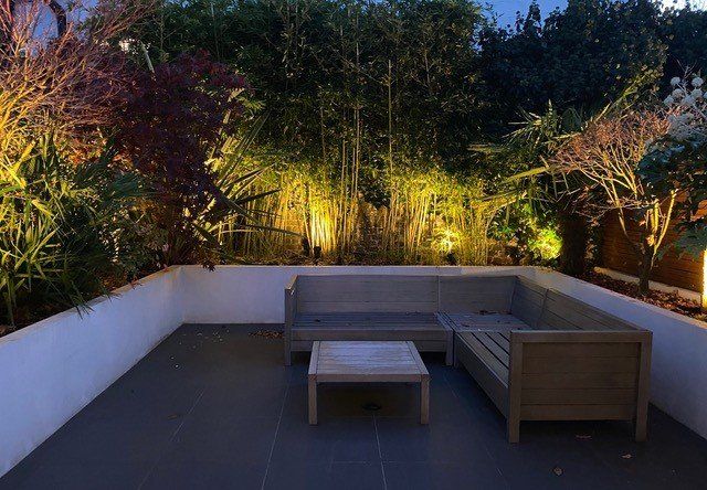 Nightime Garden