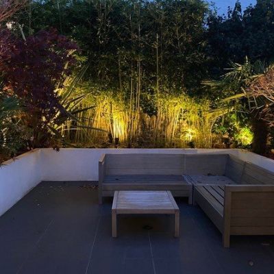 Nightime Garden