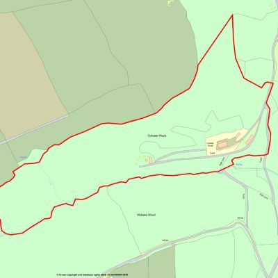 Land Plan