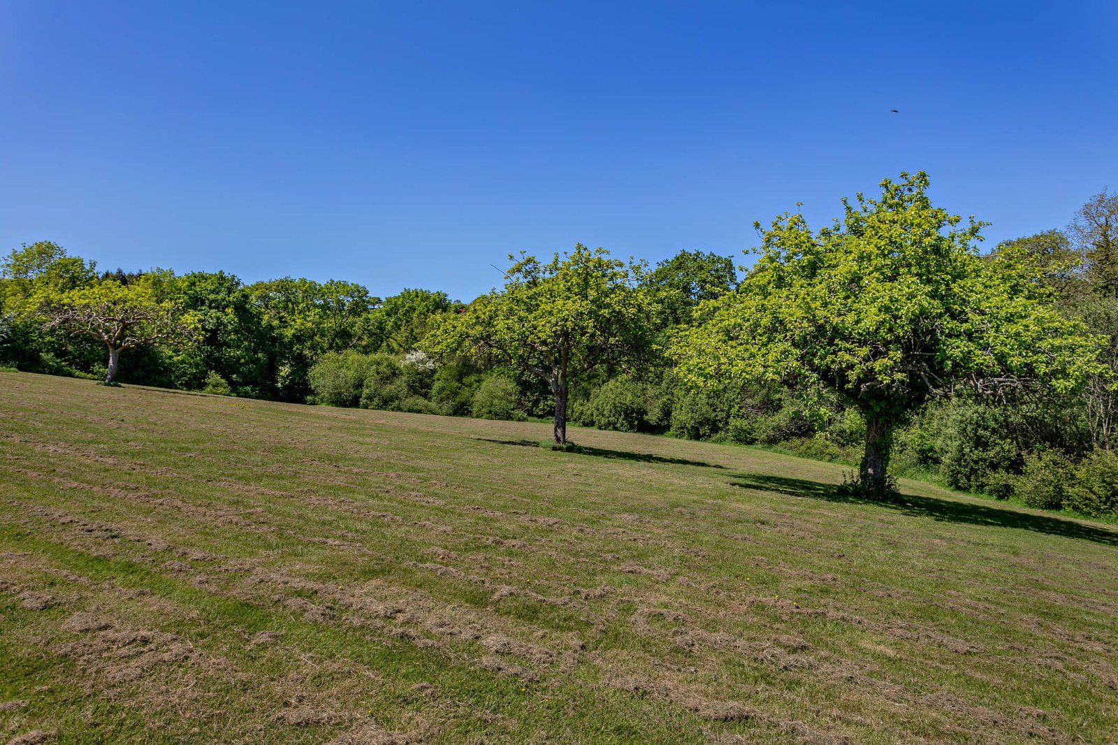 Grounds