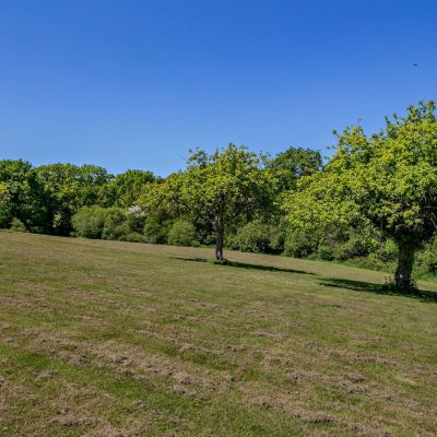 Grounds