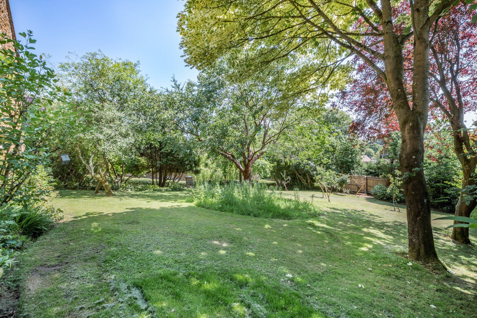 Side Lawn