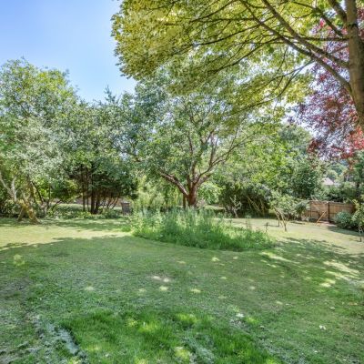 Side Lawn