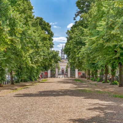 Royal Avenue