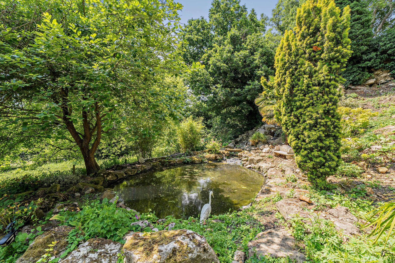 Pond