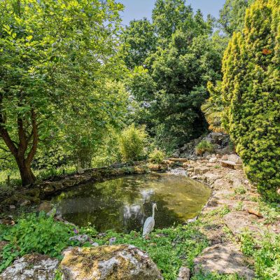 Pond