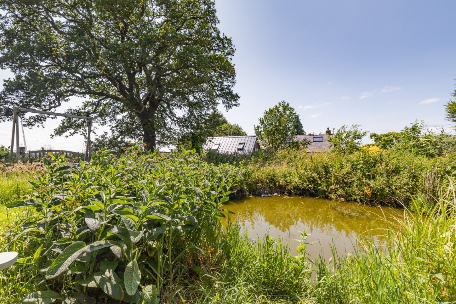 Pond