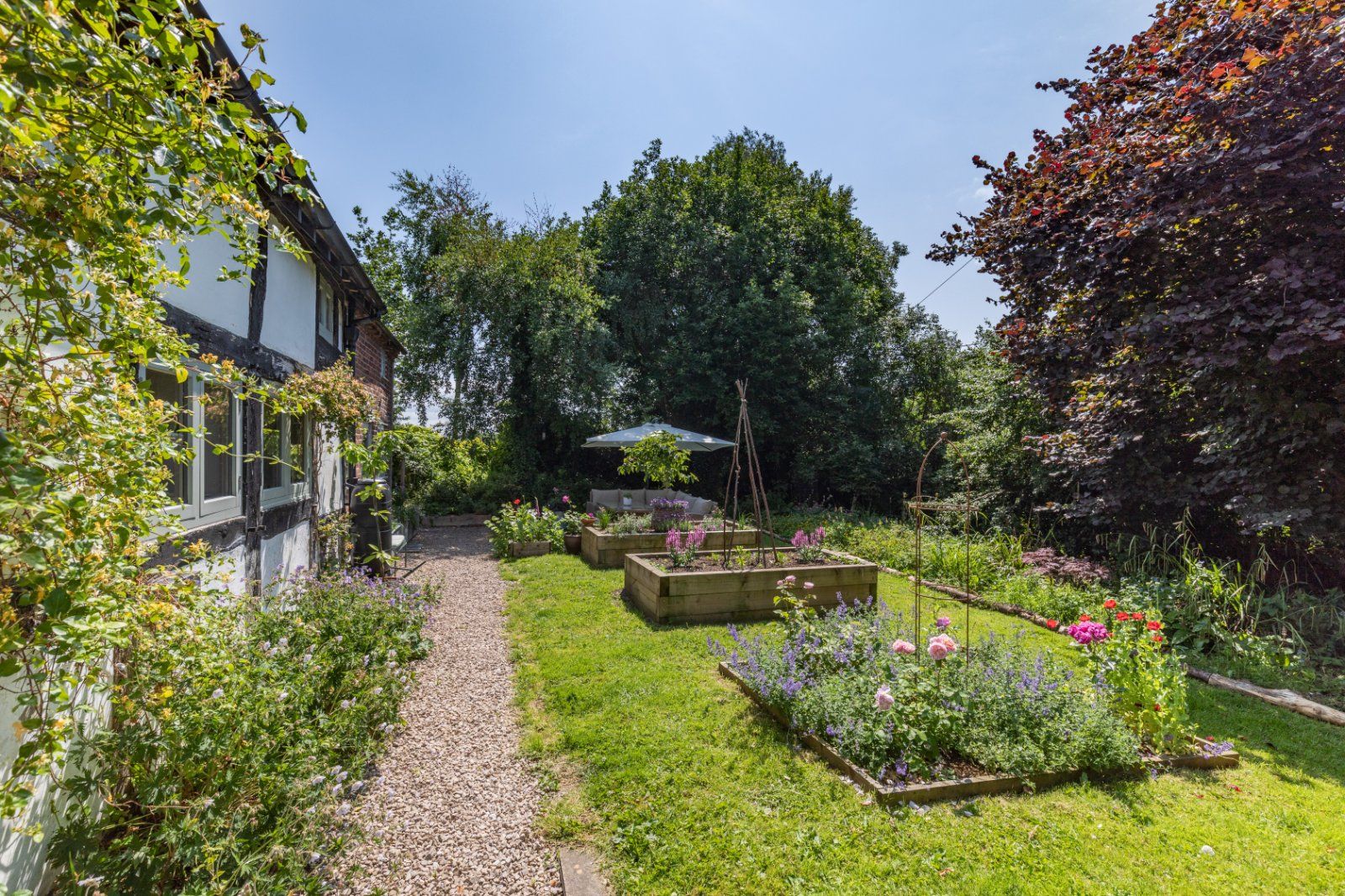 Cottage Garden
