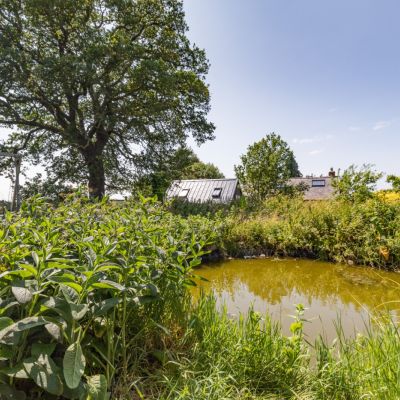 Pond