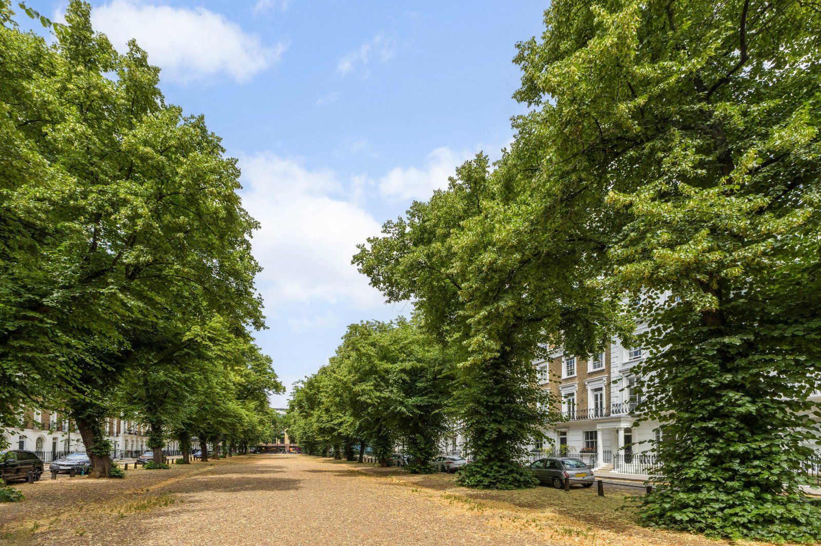 Royal Avenue