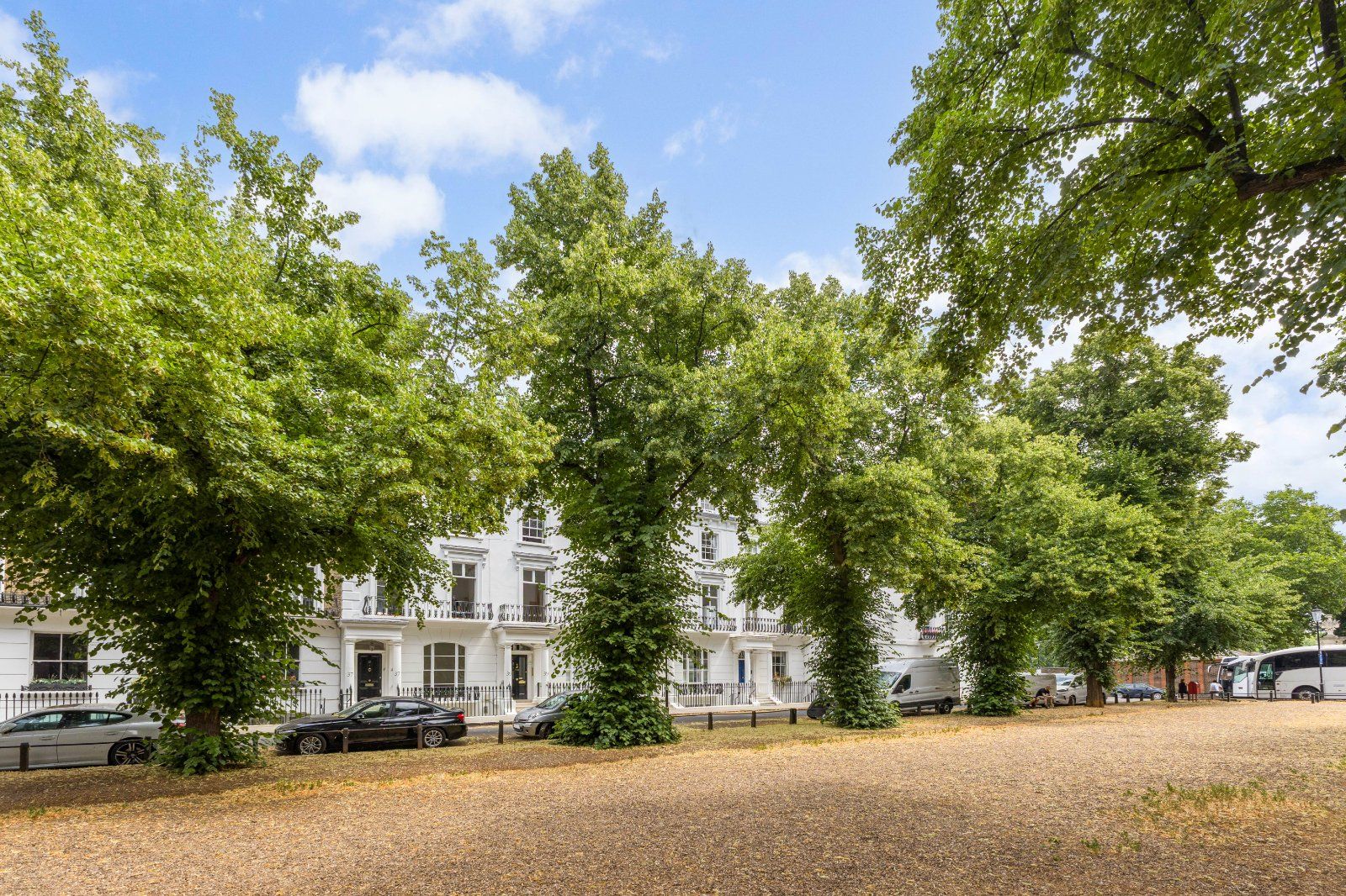Tree Lined Street