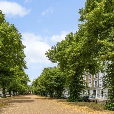 Royal Avenue