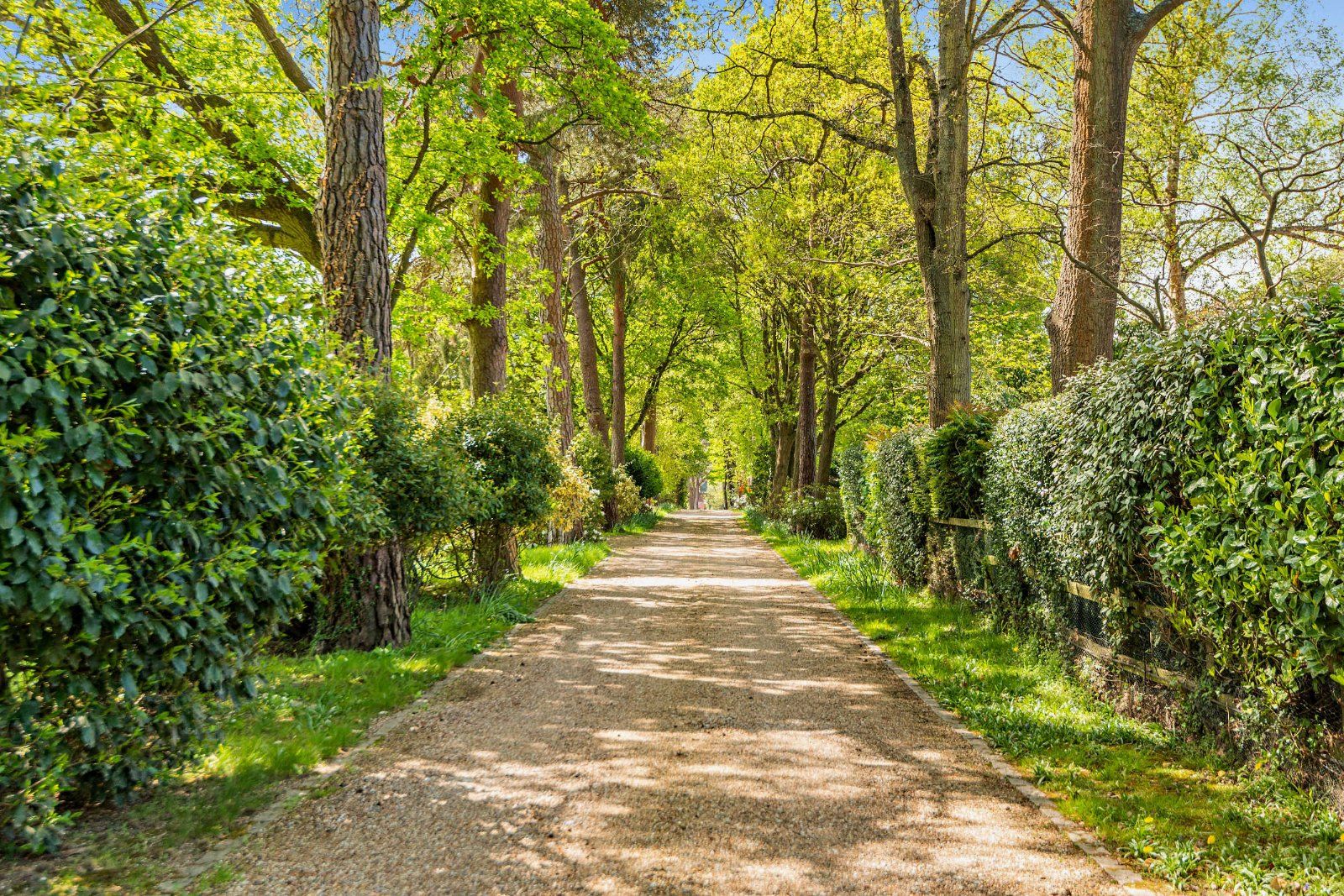 Driveway