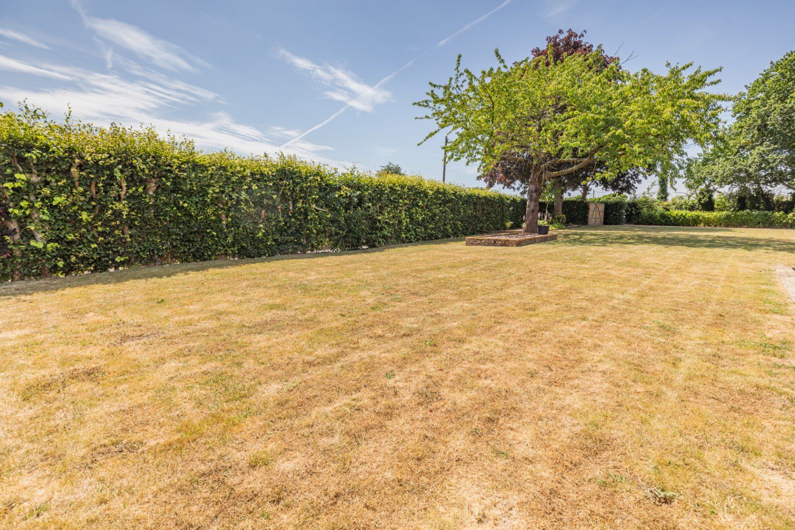 Grounds