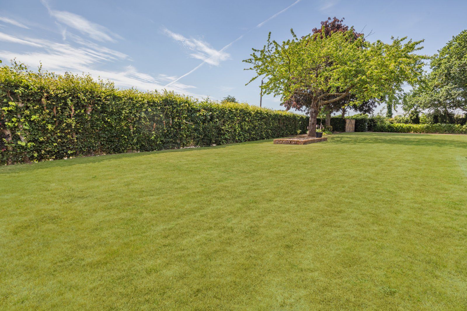 Grounds