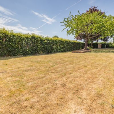 Grounds