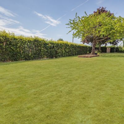 Grounds