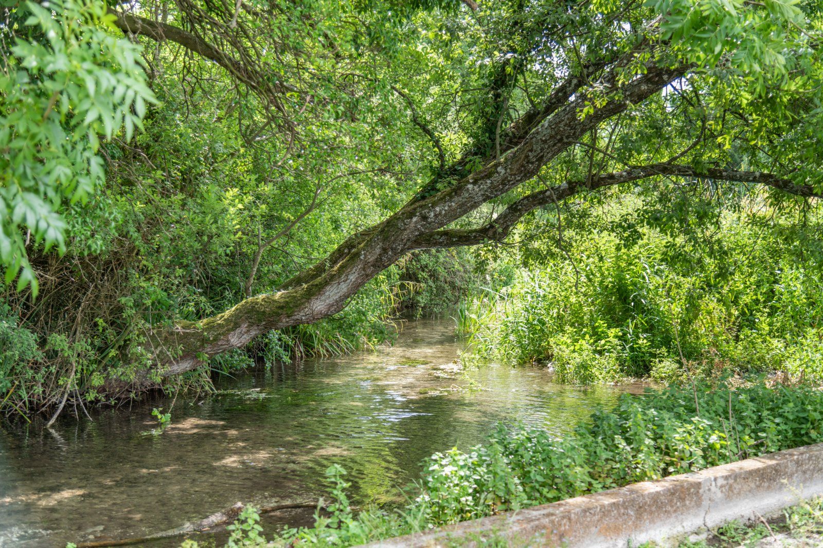 River