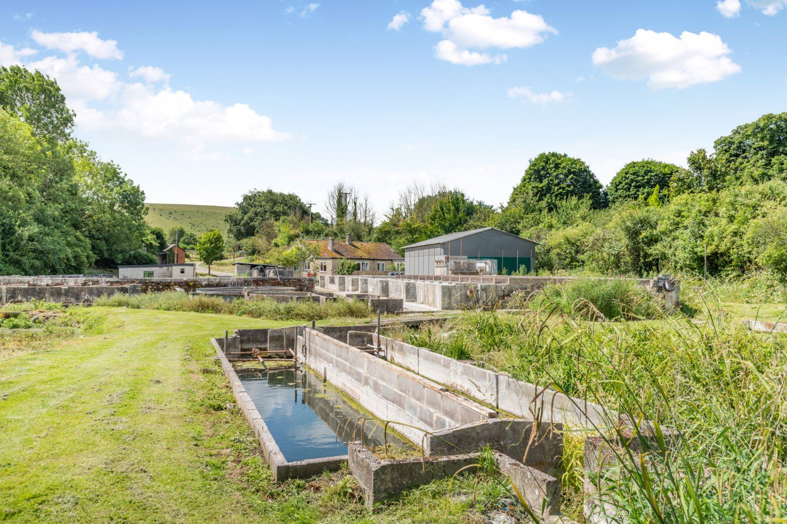 Trout Farm