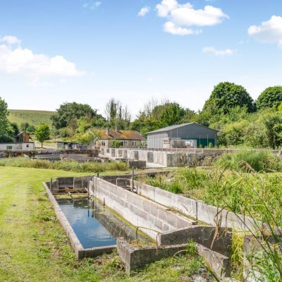 Trout Farm