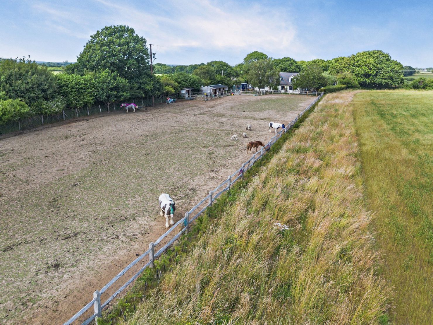 Paddock