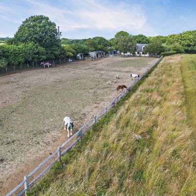 Paddock