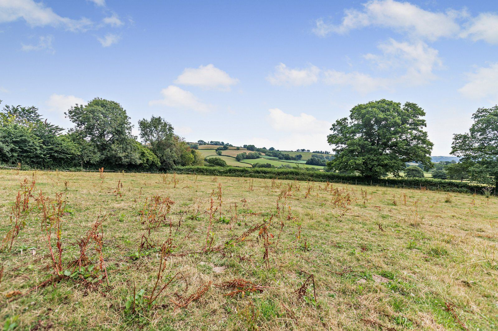 Grounds