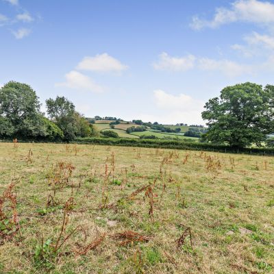 Grounds