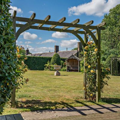Mature Garden