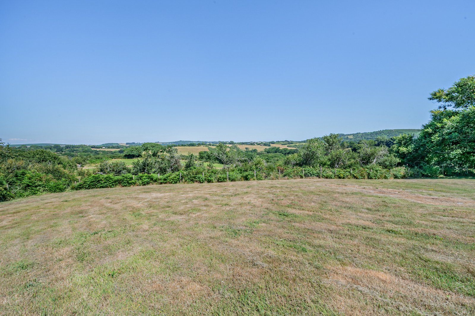 Grounds
