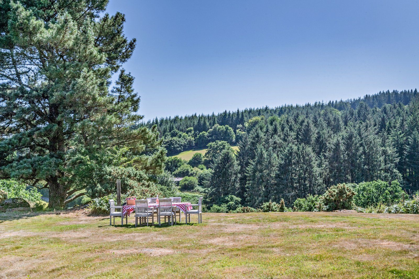 Grounds