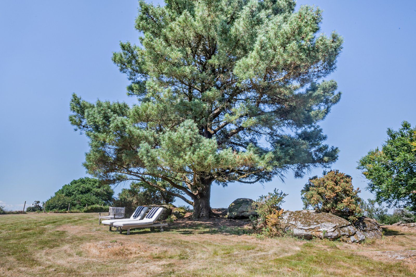 Grounds