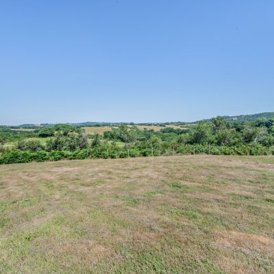 Grounds