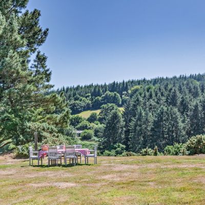 Grounds