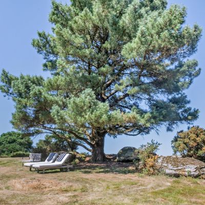 Grounds