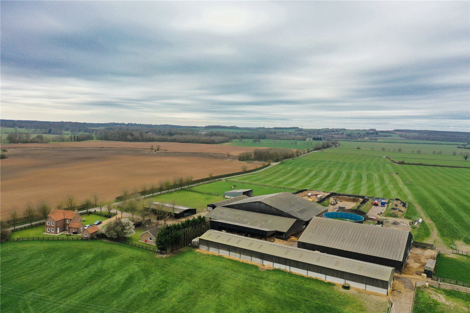 Lot 1