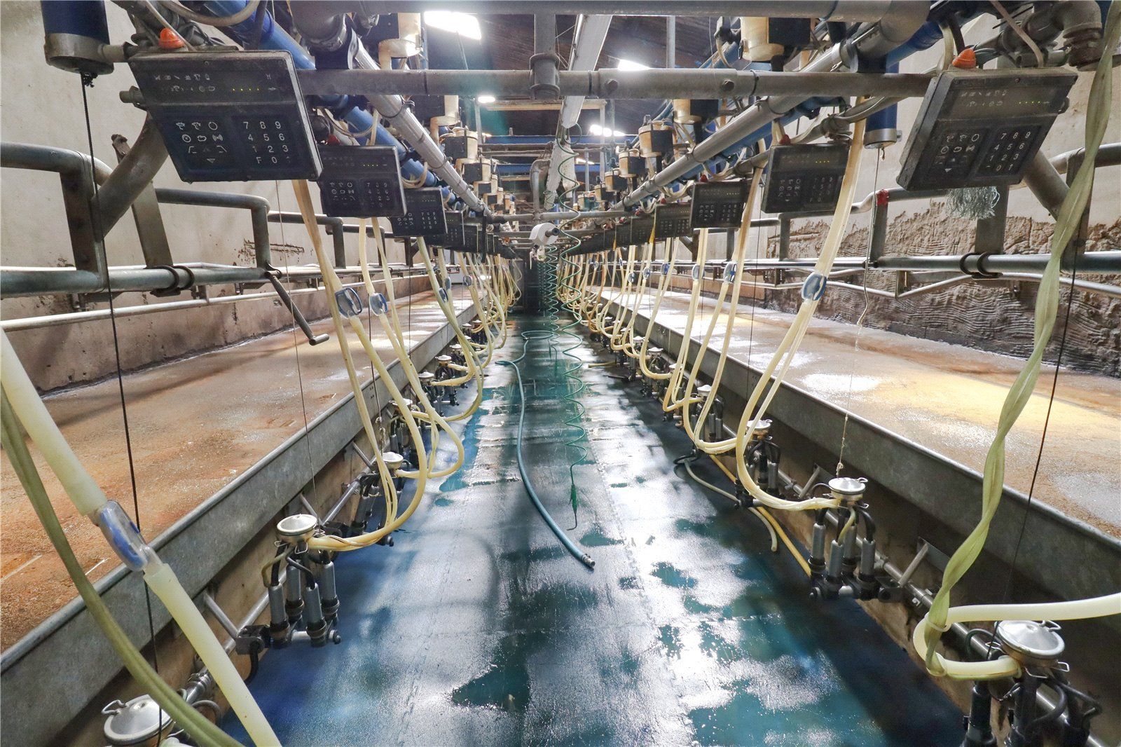 Parlour