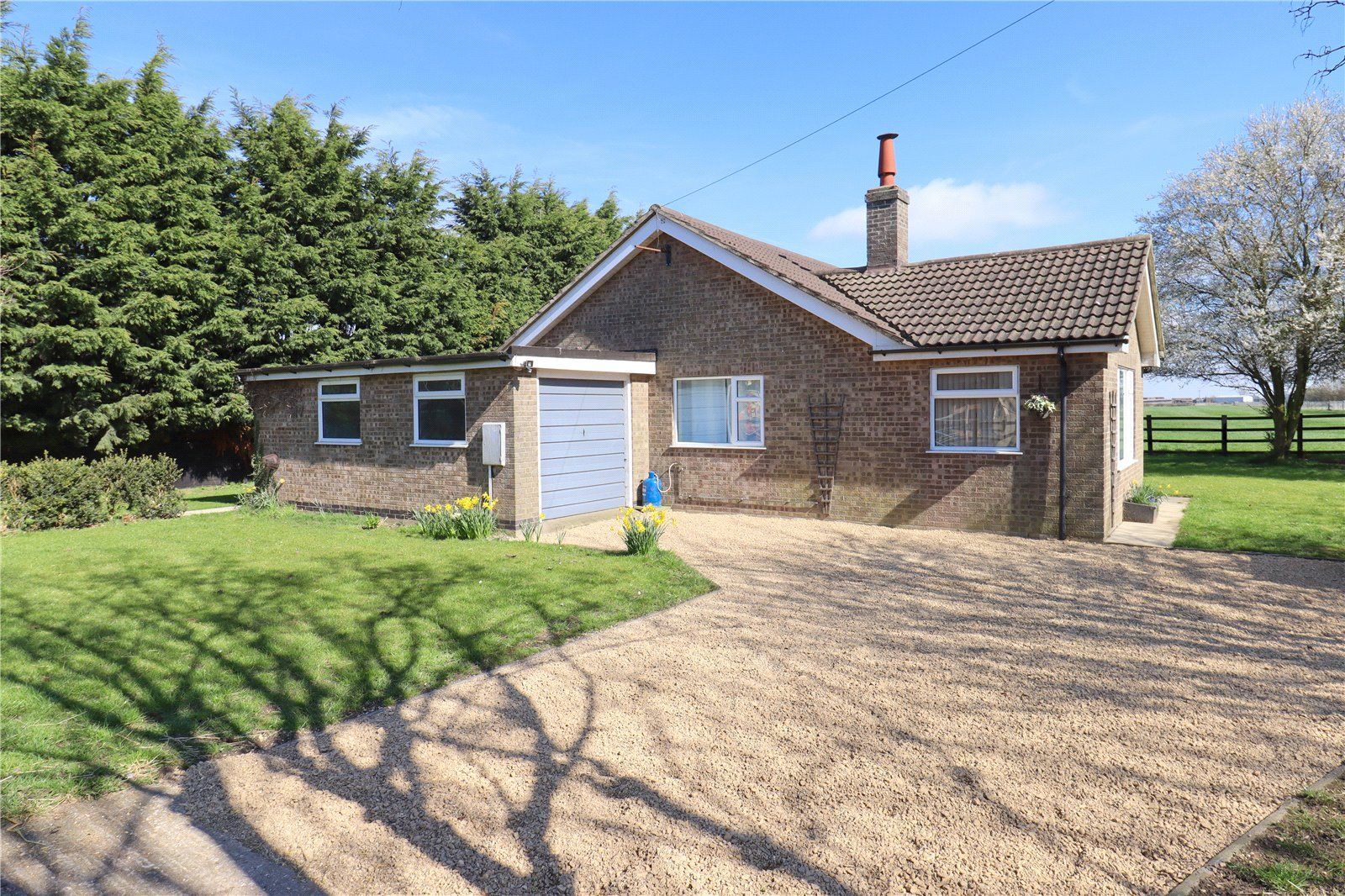 New Bungalow