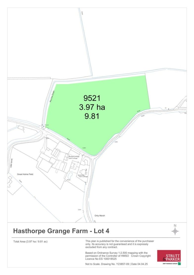Lot 4
