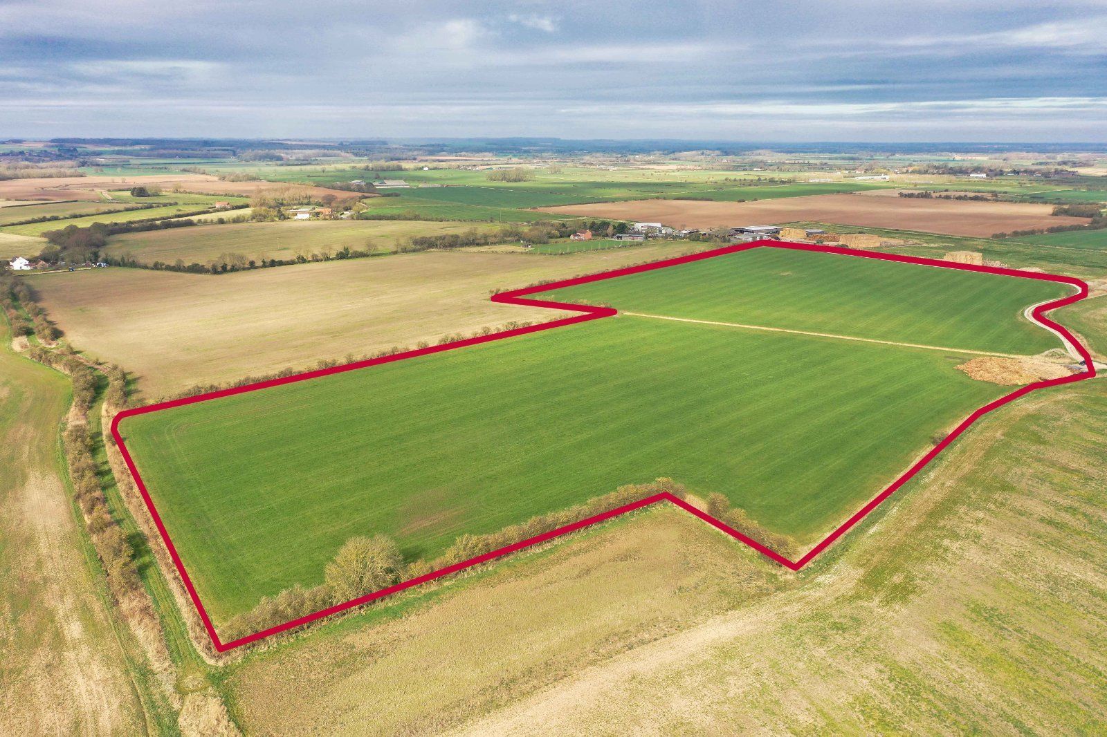 Lot 5
