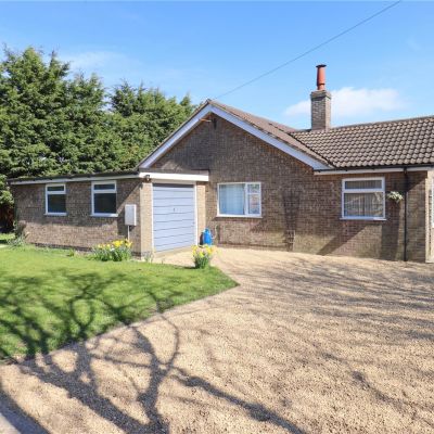 New Bungalow