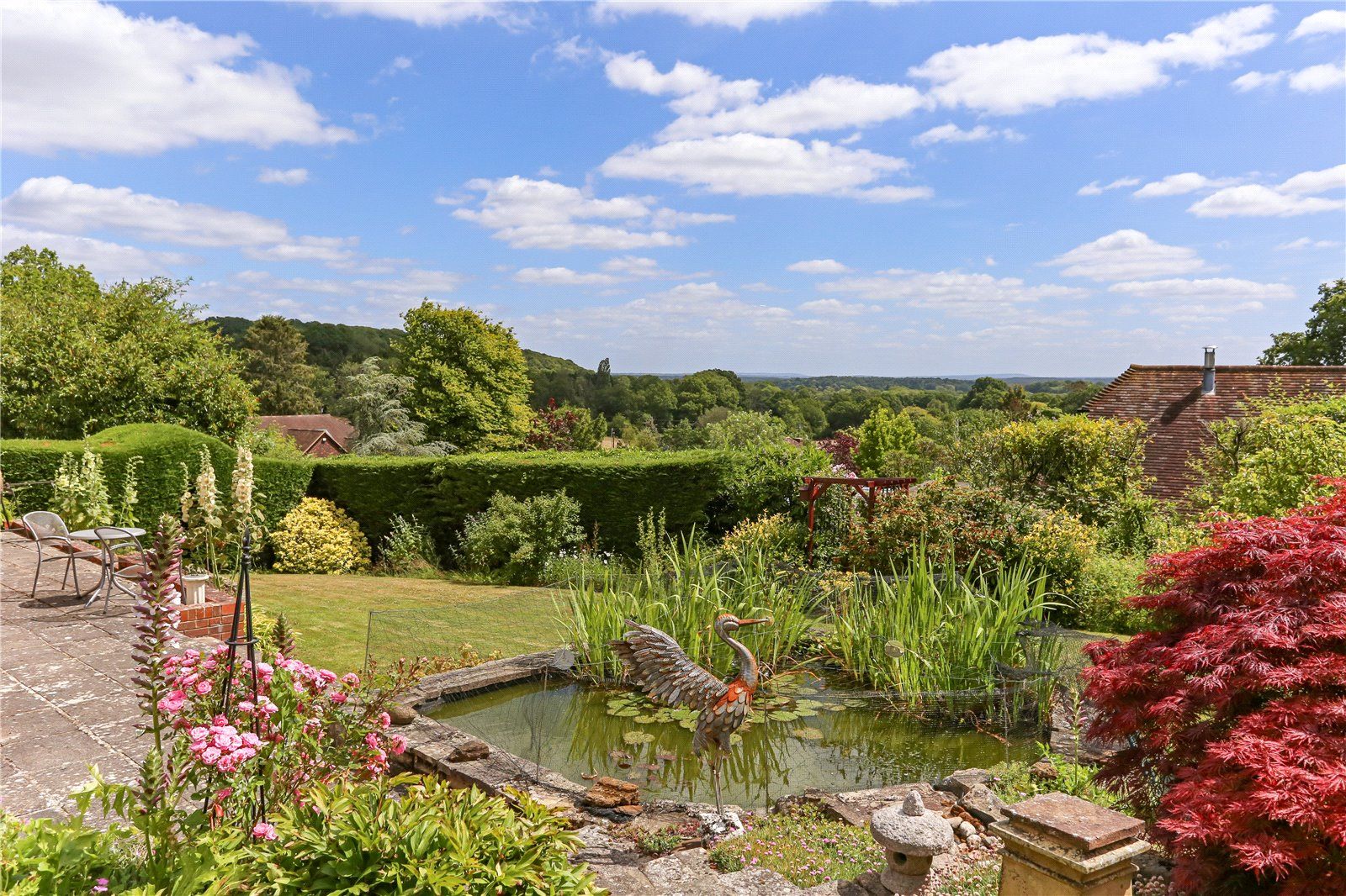 Pond & View