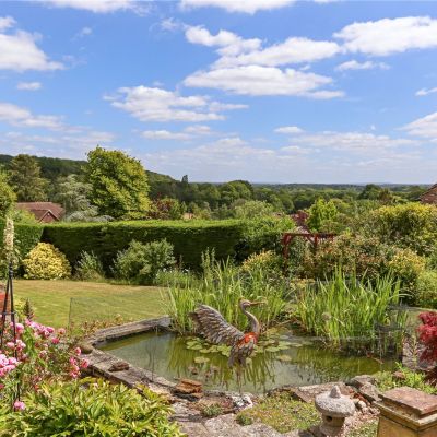 Pond & View