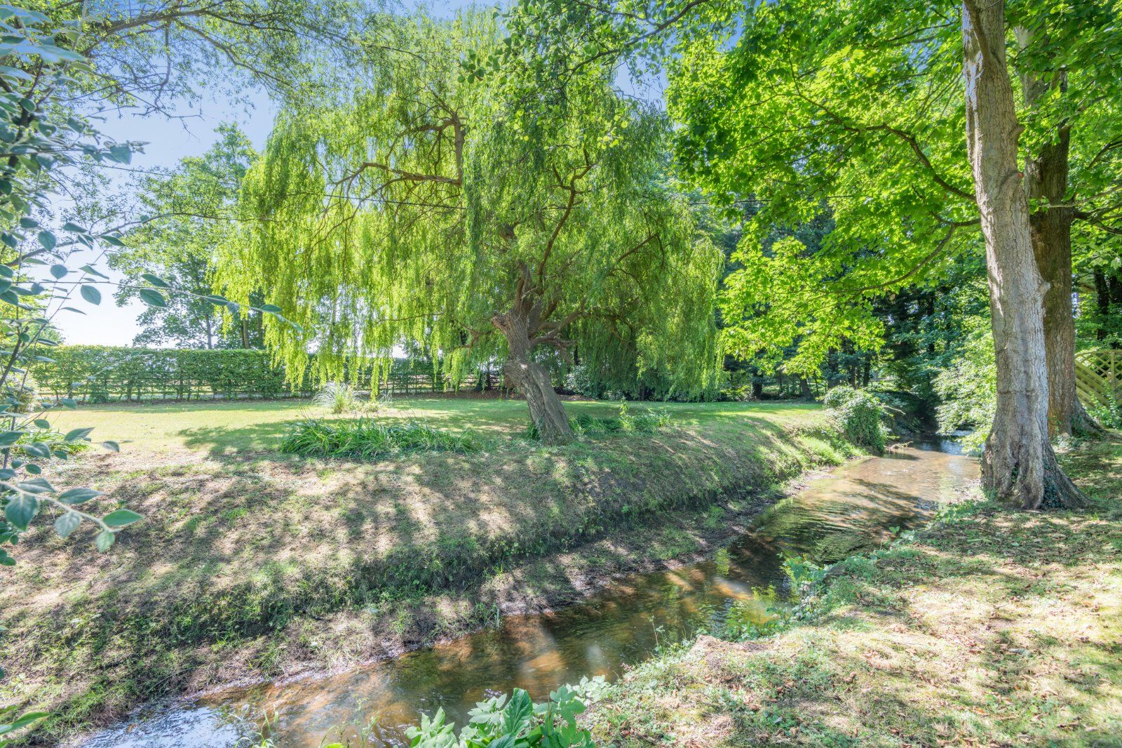 Grounds