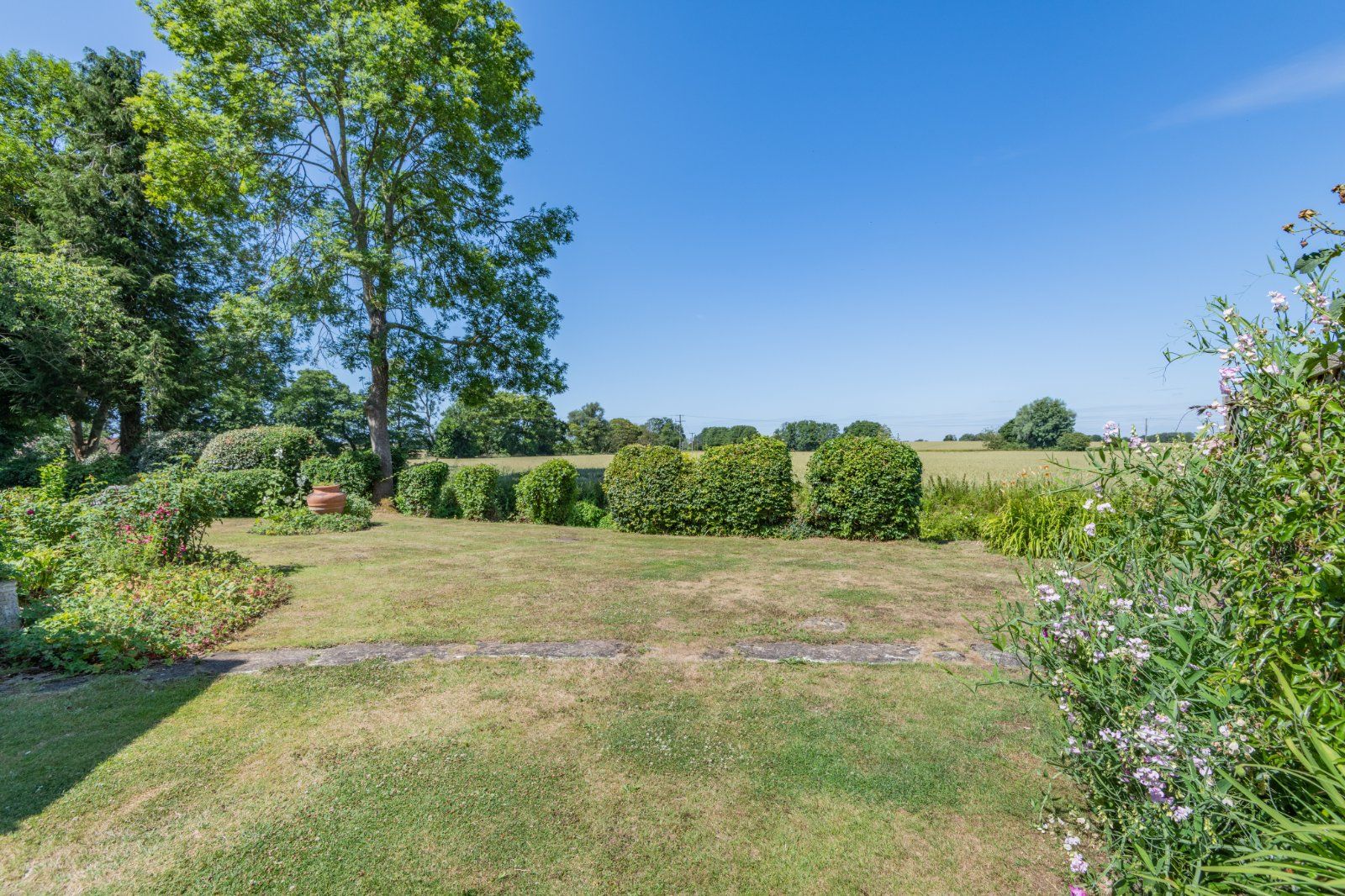 Grounds